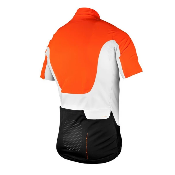 POC Men's AVIP Jersey - 2017 4 POC Men's AVIP Jersey - 2017 - Image 2